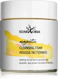 Soaphoria Care Majestic Cleansing Foam - Увлажняющая и успокаивающая пенка для очищения чувствительной кожи, 125 мл — фото 1