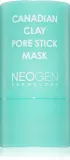 Neogen Dermalogy Canadian Clay Pore Stick Mask - Крем для лица, глубоко очищающий для уменьшения пор, 28 г — фото 1