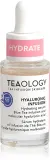 Teaology Hyaluronic Infusion - Увлажняющее сыворотка для лица с гиалуроновой кислотой, 15 мл — фото 1