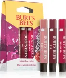 Burt’s Bees Festive Kissable Color - набор блесков для губ — фото 1