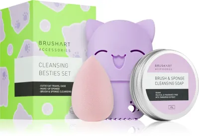 BrushArt Accessories Cleansing besties set - Путешественный набор