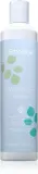 Echosline Balance+ Shampoo - шампунь, восстанавливающий здоровую кожу головы, 300 мл — фото 1