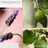 Pureology Hydrate Glow Catcher - Увлажняющее и питательное масло для волос, 50 мл — фото 5