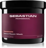 Sebastian Professional Penetraitt - Маска для волос, поврежденных химическими процедурами — фото 1