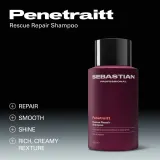 Sebastian Professional Penetraitt - шампунь для волос, поврежденных химическими процедурами — фото 2