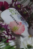 Расчёска для волос Denman Detangling D38 The Deluxe Detangling Styling Paddle для всех типов волос, 1 шт — фото 2