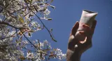 WoodenSpoon Baby & Family Sweet Mango - Защитное молочко для загара для всей семьи SPF 50, 100 мл — фото 4