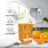 Body Restore Vigor Shower Steamers - Таблетки для душа zapachy Orange, 3 шт — фото 3