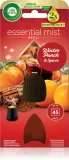 Air Wick Essential Mist Winter Punch & Spices - Наполнение для диффузоров, 20 мл — фото 1