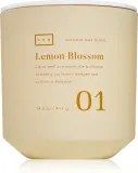 DW Home Lab Lemon Blossom - духовая свеча, 411 г — фото 1