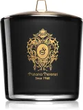 Tiziana Terenzi Ecstasy - Ароматическая свеча с деревянным фитилем z drewnianym knotem, 500 г — фото 1