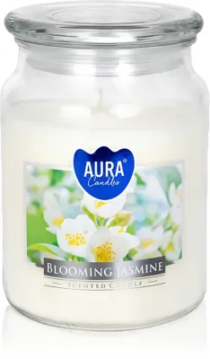 BISPOL Premium Line Jasmine - душистая свеча, 500 г