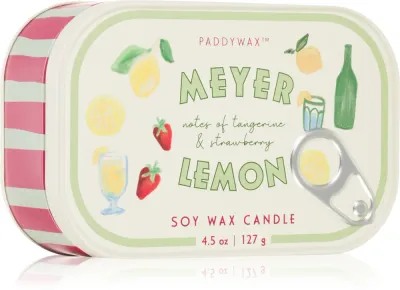 Свеча ароматическая Paddywax Bistro Meyer Lemon цитрусовая, два фитиля, 127 г