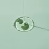 iUnik Tea Tree - в контексте того, что это сыворотка для лица: успокаивающая сыворотка для лица для чувствительной кожи с склонностью к высыпаниям, 50 мл — фото 3