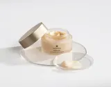 Sesderma Ferulac Antioxidant Facial Cream - антиоксидантный крем для лица, 50 мл — фото 2