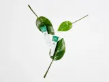 VT Cosmetics Cica Cream - Увлажняющий крем для лица с успокаивающим действием, 50 мл — фото 3