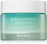 Mizon Cicaluronic™ - Питательный увлажняющий крем для очень сухой и чувствительной кожи, 50 мл — фото 1