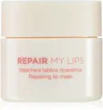 Diego dalla Palma REPAIR MY LIPS - Увлажняющая маска для губ, 25 мл — фото 1