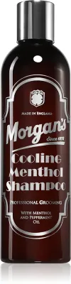 Morgan's Cooling Menthol Shampoo - Мятный стимулирующий шампунь для волос и кожи головы для мужчин, 250 мл