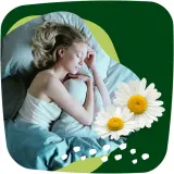 Ночные гигиенические прокладки Naturella Ultra Night Plus с ароматом, 24 шт — фото 2