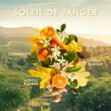 Жидкое мыло для рук Moroccanoil Body Soleil de Tanger с аргановым маслом, 360 мл — фото 4