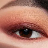 Estée Lauder Pure Color Eyeshadow Quad - Палетка теней для век, 6 г, оттенок Wild Earth — фото 3