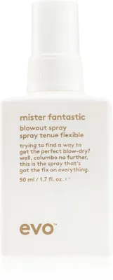 EVO Mister Fantastic Blowout Spray - Защитный спрей для ускорения сушки волос, 50 мл
