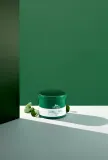 VT Cosmetics Cica Mild Toner Pad - Очищающие смягчающие пластыри для лица, 60 шт — фото 4