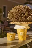 Свеча ароматическая Baobab Collection Paz Dove цитрусовая, с четырьмя фитилями — фото 4