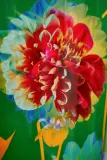 Свеча ароматическая Baobab Collection Arty Flowers Bouquet цветочная, с хлопковым фитилём, 1000 г — фото 4