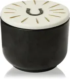 Свеча ароматическая Paddywax Charmed Tabac Pine восточно-древесная, два фитиля, 226 г — фото 1
