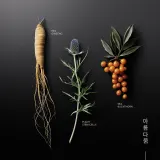 Крем для кожи вокруг глаз KORIKA Korean Heritage Ginseng Marine Stem Cells Cell Renew Eye Cream с женьшенем, с массажной насадкой, 15 мл — фото 4