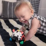 Развивающая игрушка Baby Einstein Zen the Zebra Curious Car сенсорная, контрастные цвета, 1 шт 3 m+ — фото 3