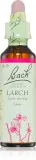 Bach® Flower Remedies Larch - Капли Bach Flower Remedies Larch, биологически активная добавка, для хорошего самочувствия, 20 мл, 20 мл — фото 1