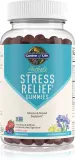 Пастилки жевательные Garden of Life Stress Relief с родиолой и шафраном, ягодные, 60 шт — фото 1