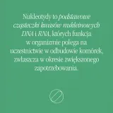 Добавка к пище Health Labs Care NucleoMe с нуклеотидами, в капсулах, 60 шт — фото 4