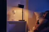 Молокоотсос Lionelo Care Fidi One электрический, с массажной вкладкой, 1 шт — фото 6