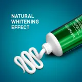 Зубная паста MEDIBLANC Whitening Herbal травяная отбеливающая, с ромашкой и шалфеем — фото 4