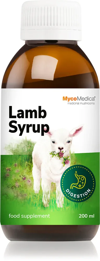 Биологически активная добавка MycoMedica Lamp Syrup, сироп, для жизненного тонуса, 200 мл