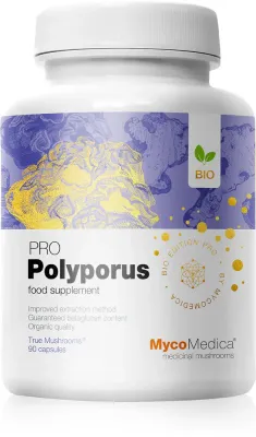 Биологически активная добавка MycoMedica Polyporus PRO, в капсулах, для жизненного тонуса, 90 капсул