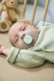 Пустышка Philips Avent Ultrastart SCF075/12 0-2 m, 0–2 месяца, 2 шт Boy — фото 5