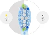 Сменные насадки для зубной щётки Philips Sonicare Premium Plaque Defense HX9046/87 белые, 6 шт — фото 8
