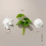 Диски отшелушивающие для лица KORIKA Skin Essentials Dual Exfoliating Toner Pads двусторонние, тонизирующие, 20 шт — фото 4