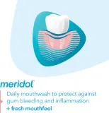 Ополаскиватель Meridol Gum Protection для дёсен, с олафлуром и фторидом натрия, 400 мл — фото 2