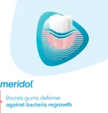 Ополаскиватель Meridol Gum Protection для дёсен, с олафлуром и фторидом натрия, 400 мл — фото 4
