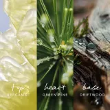 Масло для тела Mexx Inspired Nature, цитрусово-древесный аромат, с маслом арганы, 100 мл парфюмированный — фото 2