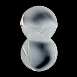 Очищающий крем для лица Omorovicza Queen Cleanser с маслом бурачника, увлажняющий, 150 мл — фото 3