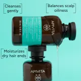 Набор для ухода за волосами Apivita Oily Roots Dry Ends для жирной кожи головы и сухих кончиков, 1 шт — фото 2