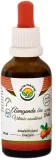 Настойка Salvia Paradise Ashwagandha tinktura bezalkoholowa безалкогольная, из ашваганды, 50 мл — фото 1