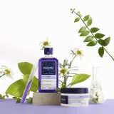Маска для волос Phyto Violet Repairing No Yellow Mask восстанавливающая, нейтрализующая желтизну, 200 мл — фото 2